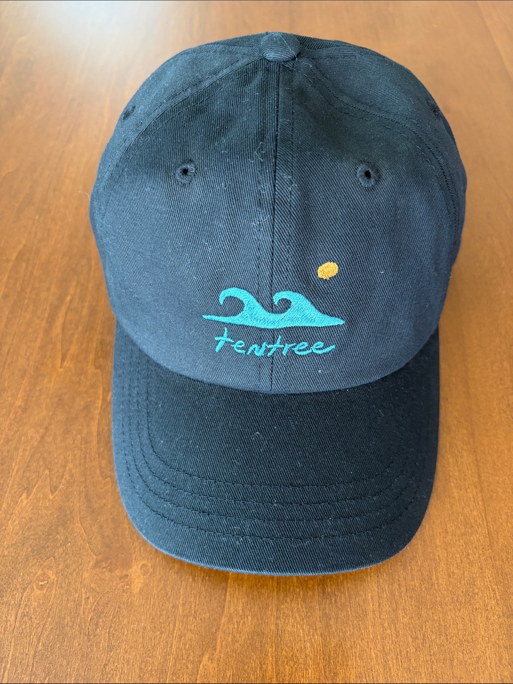 Tentree Sea Forestation Baseball Hat, black, NWT